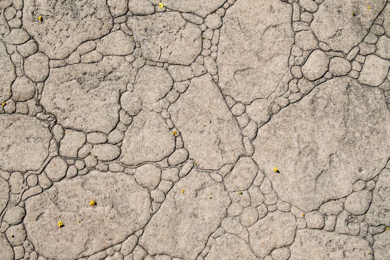 Decorative Concrete Repair in Fort Mill, SC